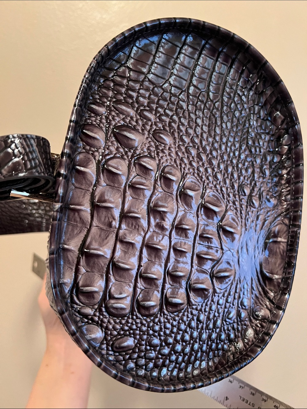 Brahmin - Picture 7 of 8